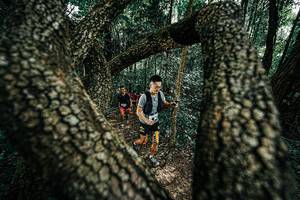 BIB: 
                            <button type="button" onclick="openModal(25392293)" class="btn btn-primary btn-sm float-right btn-popup" data-toggle="modal" data-target=".modal-high-quality">
                        <i class="fas fa-shopping-cart"></i> Add to Cart
                    </button>
                                            <button type="button" onclick="isThisMe(25392293, true)" class="btn btn-success btn-sm float-right btn-popup btn-isme hidden" data-toggle="tooltip" data-placement="bottom" title="นี่คือรูปของคุณใช่ไหม คลิกที่นี่เพื่อเอาเข้าอัลบั้ม">
                        <i class="fas fa-plus"></i> Add to album
                    </button>
                    <button type="button" onclick="isThisMe(25392293, false)" class="btn btn-warning btn-sm float-right btn-popup btn-isnotme hidden">
                        <i class="fas fa-ban"></i> Remove from album
                    </button>